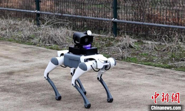 浙江首次在民航领域试点应用四足机器人(图2)